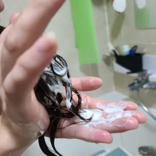 사남매맘님이 올린 리뷰 사진 4