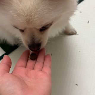 체리님이 올린 리뷰 사진 3