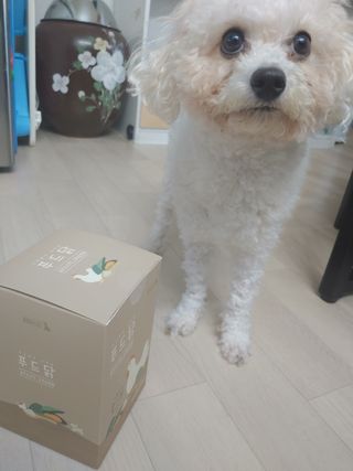 도그퓨어 푸드닭 강아지 닭고기 통살 애견간식 오리지널/차전자피/초록입홍합 — 5점을 준 리뷰어가 2021년 10월 올린 사용 사진