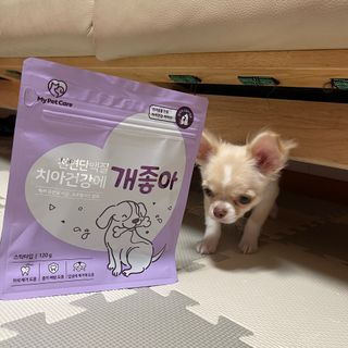 다현님이 올린 리뷰 사진 2