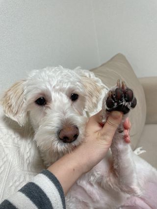 김태식님이 올린 리뷰 사진 4