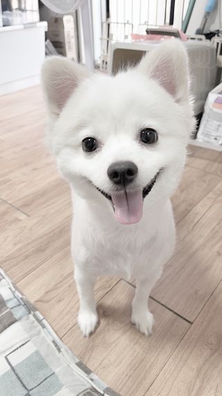 이아님이 올린 리뷰 사진 2