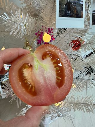 쏘피님이 올린 리뷰 사진 2