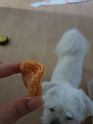 뽀오오옹님이 올린 리뷰 사진 4