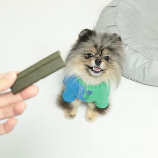 [푸디웜] 라포그 코어덴탈츄 그린 (10개입) — 5점을 준 리뷰어가 2022년 12월 올린 사용 사진