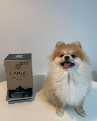잰이님이 올린 리뷰 사진 1