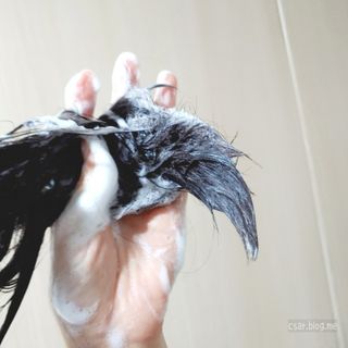 르핸스 퍼포밍 5 샴푸 비반트 포렛/베티버 포그 — 5점을 준 리뷰어가 2022년 12월 올린 사용 사진