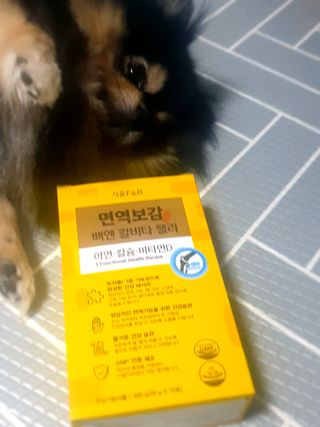 서울에프엔비 면역보감 뼈엔 칼비타 젤리 아연·칼슘·비타민D 20g X 15포 — 4.5점을 준 리뷰어가 2021년 11월 올린 사용 사진