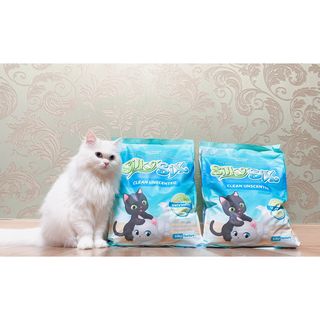 똥비님이 올린 리뷰 사진 1