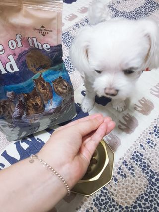 두부님이 올린 리뷰 사진 3