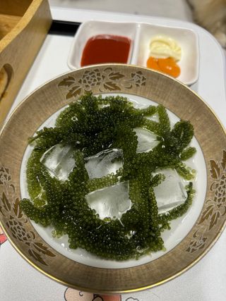 [피터씨마켓] 바다포도 100g(20g x 5봉) 우미부도 그린캐비어 ASMR 소분포장 — 3.5점을 준 리뷰어가 2024년 8월 올린 사용 사진