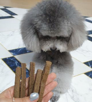 My Pet Care 천연단백질 치아건강에 개좋아 — 5점을 준 리뷰어가 2021년 3월 올린 사용 사진