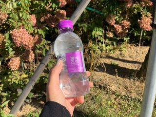 몽베스트 [MONTBEST] 330mL 20병 — 5점을 준 리뷰어가 2021년 10월 올린 사용 사진