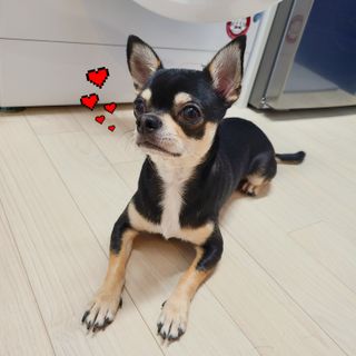 Sori님이 올린 리뷰 사진 1
