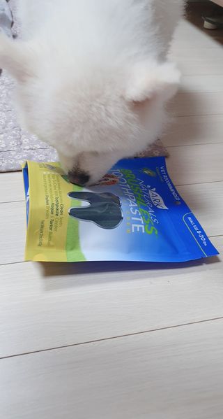 진짜 양치되는 강아지덴탈츄 아크내추럴스 브러시리스 — 4.5점을 준 리뷰어가 2021년 3월 올린 사용 사진