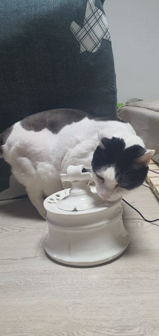 까칠한시연님님이 올린 리뷰 사진 1