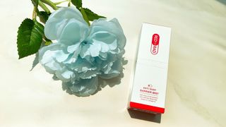 레드투래드 안티더스트 배리어 미스트 55ml — 4.5점을 준 리뷰어가 2021년 6월 올린 사용 사진