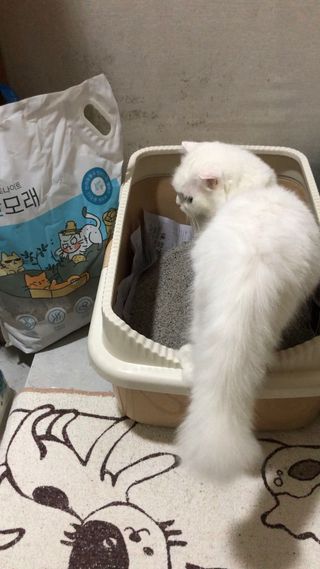 지연님이 올린 리뷰 사진 4