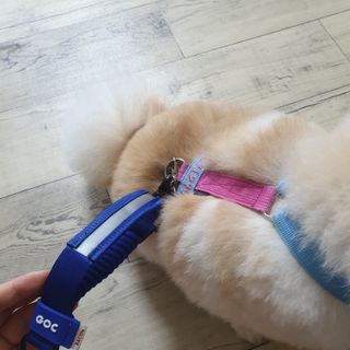 bangwoori님이 올린 리뷰 사진 3
