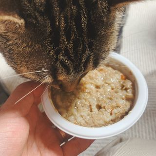 Sophie님이 올린 리뷰 사진 3