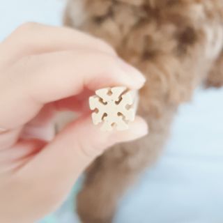 페페로니 클린플러스 덴탈치킨껌 10g x 14p — 4점을 준 리뷰어가 2021년 7월 올린 사용 사진