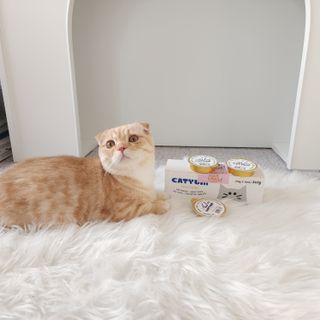 쭌뭉님이 올린 리뷰 사진 2