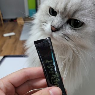 먹보옷님이 올린 리뷰 사진 4
