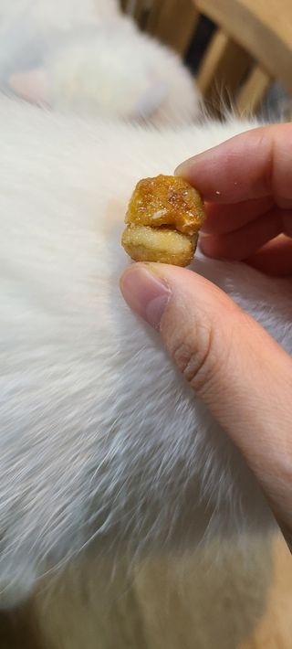 도이퉁 마카다미아 넛츠 90g 마카넛 허니 — 5점을 준 리뷰어가 2020년 12월 올린 사용 사진