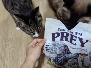 언니의호기심님이 올린 리뷰 사진 1