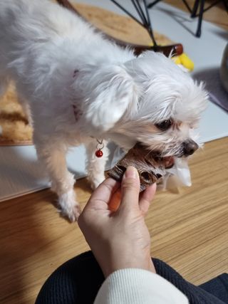 리니님이 올린 리뷰 사진 1