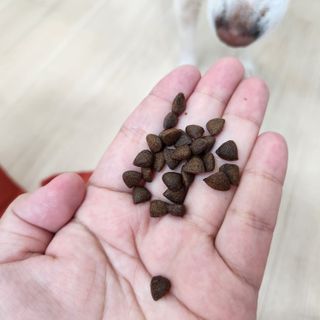 이연주님이 올린 리뷰 사진 4