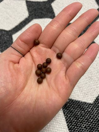 sehee님이 올린 리뷰 사진 3