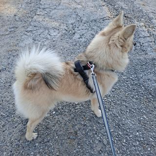 고유경님이 올린 리뷰 사진 2