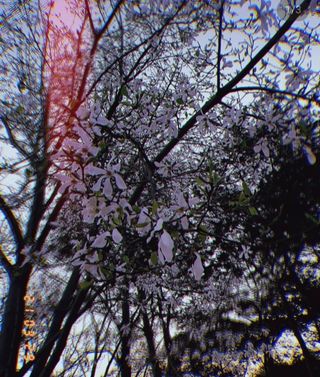 JAYDEN님이 올린 리뷰 사진 1