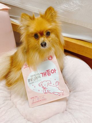 My Pet Care 천연단백질 관절건강에 개좋아 — 5점을 준 리뷰어가 2020년 12월 올린 사용 사진