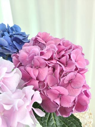 바람꽃님이 올린 리뷰 사진 3