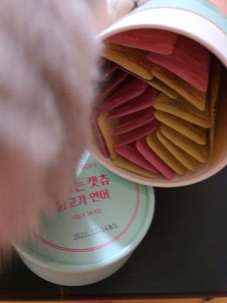 페페로니 잘 먹는 캣츄 - 무항생제 닭고기 12개 + 알래스카 연어 12개 — 5점을 준 리뷰어가 2021년 7월 올린 사용 사진