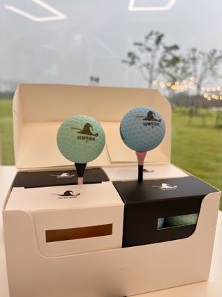 더위치골프(thewitchgolf) 프리미엄 골프 공 더위치골프 매트 펄 컬러의 3피스볼 더위치골프 골프볼 선물세트 — 5점을 준 리뷰어가 2023년 9월 올린 사용 사진