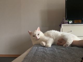 ㄹ진님이 올린 리뷰 사진 2