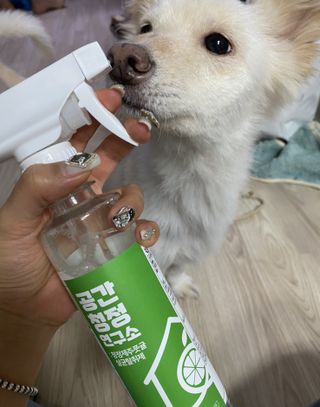 민홀리님이 올린 리뷰 사진 1
