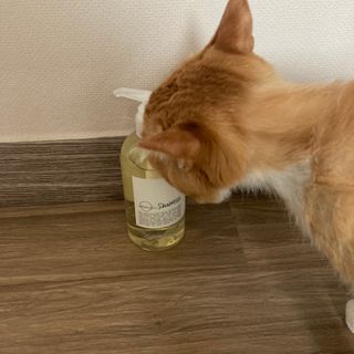 진진이님이 올린 리뷰 사진 2