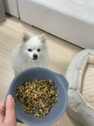 Dh님이 올린 리뷰 사진 4