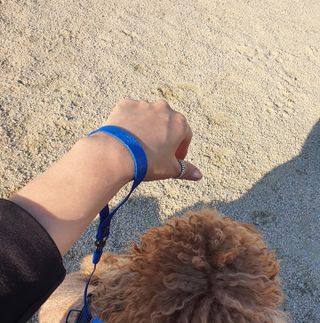 사랑해안시영님이 올린 리뷰 사진 4