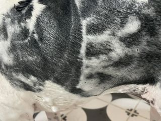 jeinok님이 올린 리뷰 사진 2
