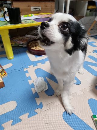깜꼬나님이 올린 리뷰 사진 2