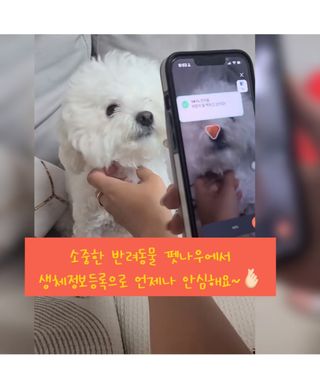 비니주니맘 :D님이 올린 리뷰 사진 2