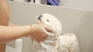 sunny님이 올린 리뷰 사진 2