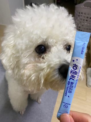 이누닷님이 올린 리뷰 사진 1