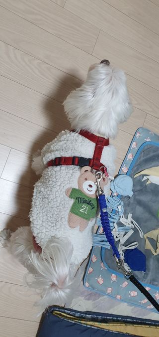 karen님이 올린 리뷰 사진 1