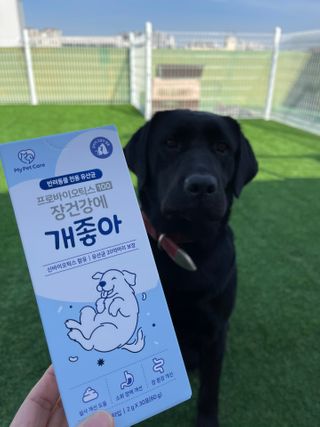 바니짱님이 올린 리뷰 사진 1